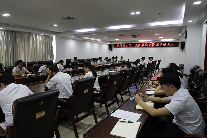 百投集團推行基層黨組織標準化建設(shè) 【百投集團黨建工作系列報道之六】